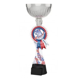 Akrylátová trofej WDS21ACUPCS01
