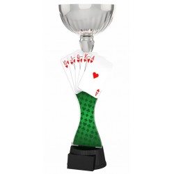 Akrylátová trofej ACUPCSM34 | Karty
