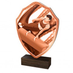 Dřevěná plaketa TFRW237 | Gymnastika