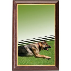 Plaketa PLP3M33 | Kynologie