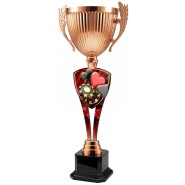 Trofej ACUPM2026M28 | Karty