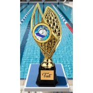 Designová trofej AV1M13 | Plavání Designová trofej AV1M13 | Plavání