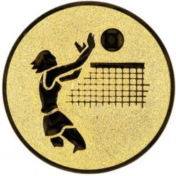 Emblém LTK020 | Volejbal