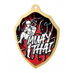 Kovová medaile MDM02M24 | Bojová umění