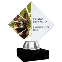 Akrylátová trofej ACL15NM31 | Kynologie
