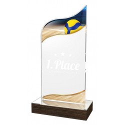 Akrylátová trofej WPLA529 | Volejbal