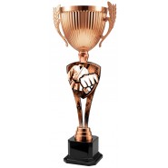 Trofej ACUPMR2026M20 | Bojová umění Trofej ACUPMR2026M20 | Bojová umění