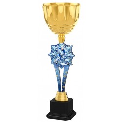 Trofej ACUPW2025M11 | Hokej