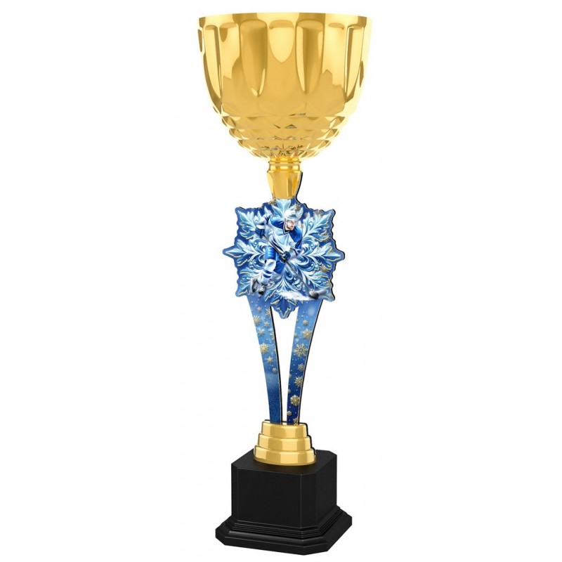 Trofej ACUPW2025M11 | Hokej Trofej ACUPW2025M11 | Hokej