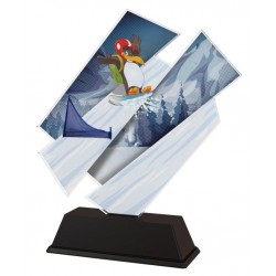 Akrylátová trofej ACZCS001M8 | Snowboard