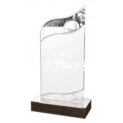 Akrylátová trofej WPLA539 | Petanque