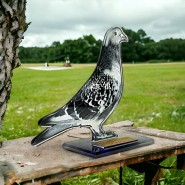 Akrylátová trofej AWF M10 | Chovatelství