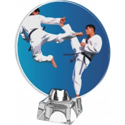 Skleněná trofej CR4043M27 | Bojová umění