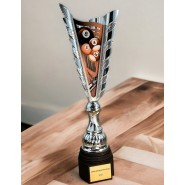 Sportovní pohár SL10 | Billiard