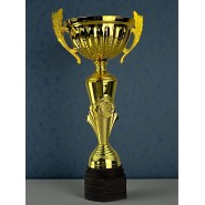 Pohár Standard S0272