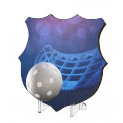 Plaketa WPP002M24 | Florbal