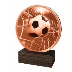 Dřevěná plaketa TFRW811 | Fotbal