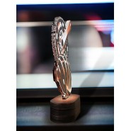 Akrylátová trofej TLR2023275 | Cyklistika