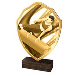 Dřevěná plaketa TFRW235 | Gymnastika