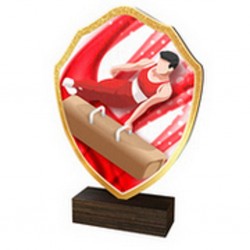 Dřevěná plaketa TFRW234 | Gymnastika