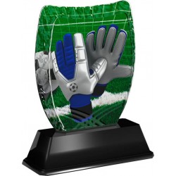 Akrylátová trofej ACE2018M05 | Fotbal