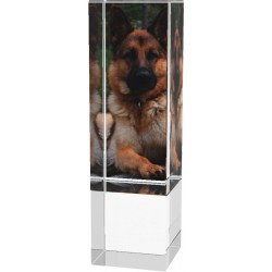 Skleněná trofej CR4034M17 | Kynologie