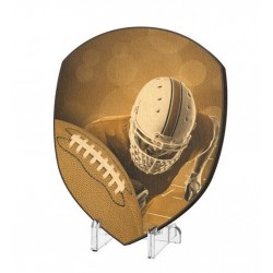 Plaketa WPPR004M12 | Americký fotbal