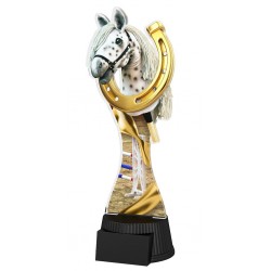 Akrylátová trofej ACUTCM131 | Hobbyhorsing Akrylátová trofej ACUTCM131 | Hobbyhorsing