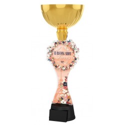 Akrylátová trofej EDS22ACUPCG02