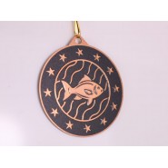 Kovová medaile MDM05M36 | Rybaření