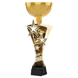 Akrylátová trofej ASTARNCUPM16 | Roztleskávačky