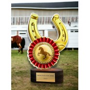 Akrylátová trofej TL2023224 | Jezdectví