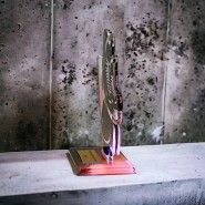 Akrylátová trofej AWF M60 | Hokej