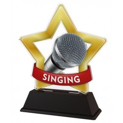 Akrylátová trofej STAR001M77 | Hudba