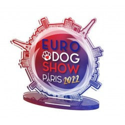Akrylátová trofej EDS22CLICK03