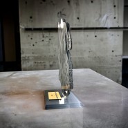 Akrylátová trofej AWF M69 | Sjezdové lyžování