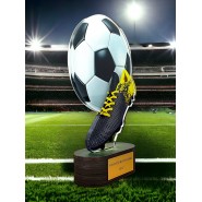 Akrylátová trofej TL2023202 | Fotbal