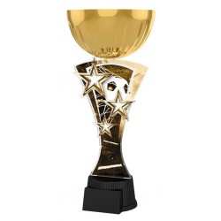 Akrylátová trofej ASTARNCUPMINIM01 | Fotbal