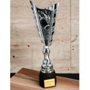 Sportovní pohár SL1 | Americký fotbal