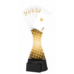 Akrylátová trofej ACUTCNM21 | Karty