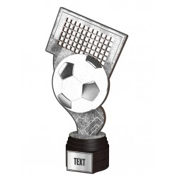 Dřevěná trofej ACTCWR005 | Fotbal