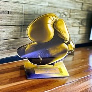 Akrylátová trofej AWF M14 | Bojová umění