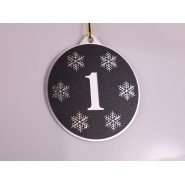 Kovová medaile MDM05M56 | Čísla