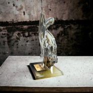 Akrylátová trofej AWF M70 | Snowboard