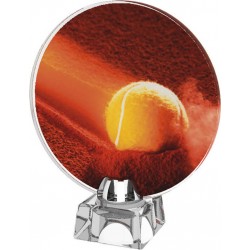 Skleněná trofej CR4043M8