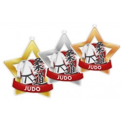 Akrylátová medaile MDASTARM36 | Bojová umění