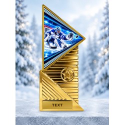 Designová trofej TRI2027M73 | Hokej