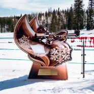 Akrylátová trofej AWF M76 | Biatlon