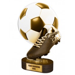 Akrylátová trofej TLR2023204 | Fotbal