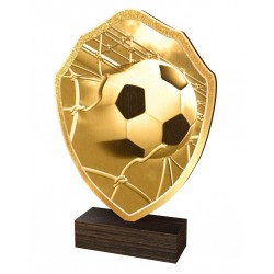 Dřevěná plaketa TFRW309 | Fotbal